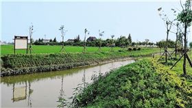 上海金山区朱泾镇“一河一策”治水 带水的镇“活”起来 上海金山区朱泾镇“一河一策”治水 带水的镇“活”起来