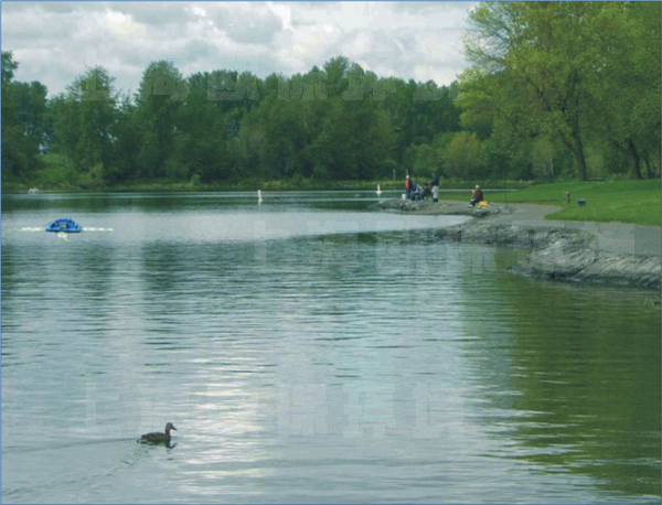 富营养化湖泊、水库的藻华控制六大系统 富营养化湖泊、水库的藻华控制六大系统