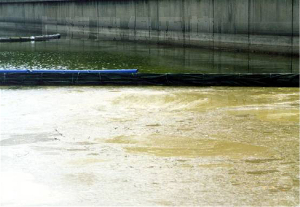 富营养化湖泊、水库的藻华控制六大系统 富营养化湖泊、水库的藻华控制六大系统