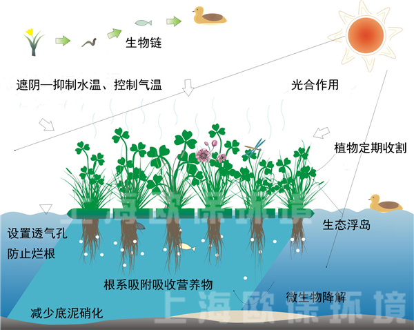 复氧型生态浮岛净水原理