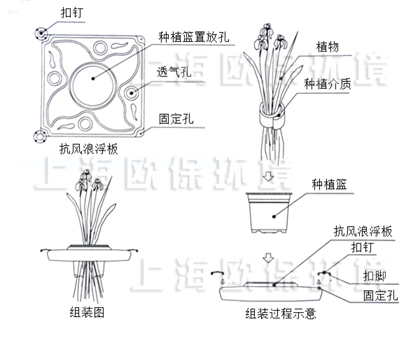 多年生抗风浪型生态浮岛种植方式