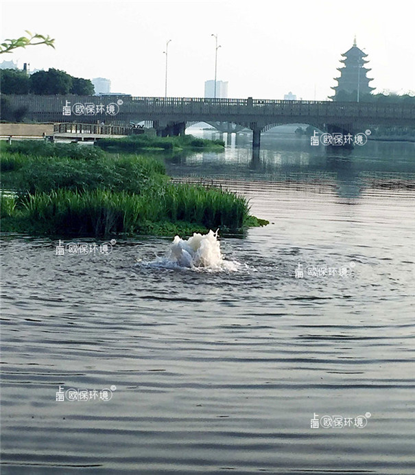 涌泉曝气机湖泊中的应用