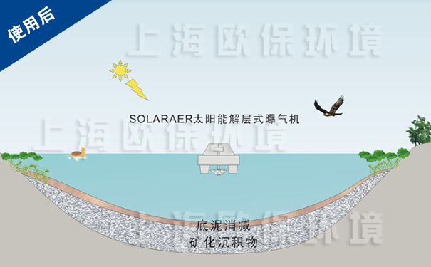 使用解层式太阳能曝气机后，底泥消减，水体新陈代谢平衡