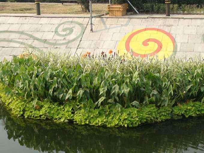 全要素河道治理 浮田型漂浮湿地打造碧水新港湾 全要素河道治理 浮田型漂浮湿地打造碧水新港湾