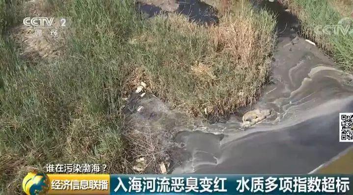 33 入海河流黑臭变红水质多项指数超标