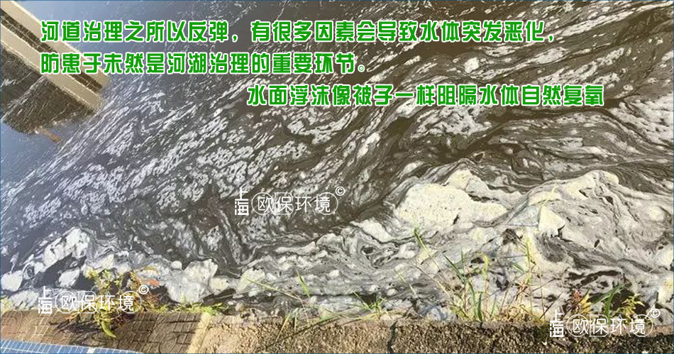 严重的浮沫直接导致水体发臭，影响水生动物的生长