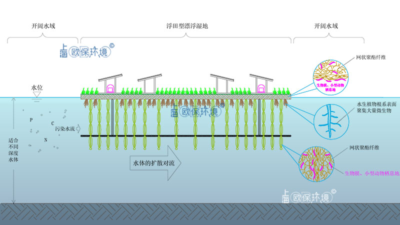 太阳能浮田型净水平台（太阳能曝气生物浮岛）净水原理