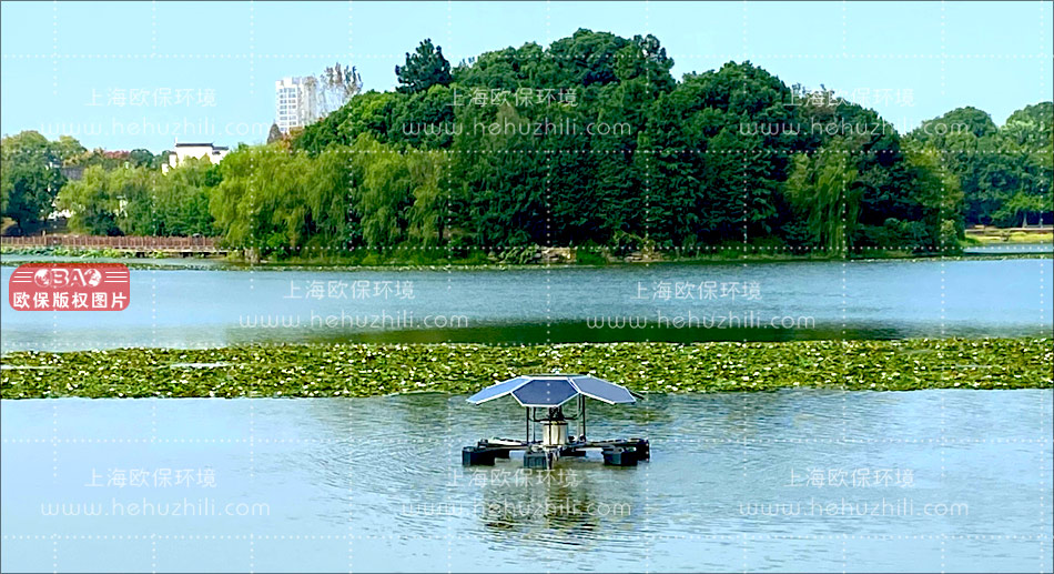 太阳能曝气机