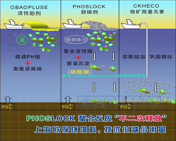 锁磷剂净水原理