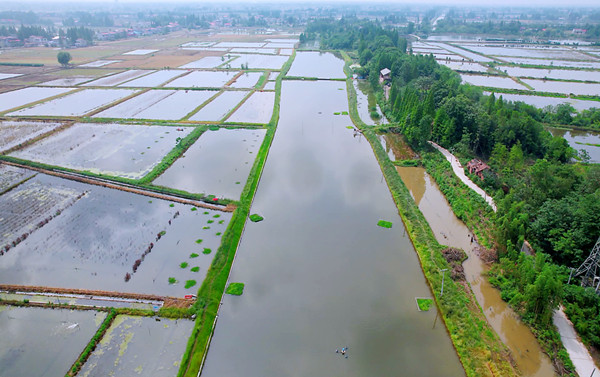 再生滤坝，三池两坝，养殖尾水