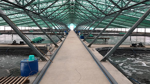 可再生滤坝，三池两坝，海水养殖尾水，养殖尾水