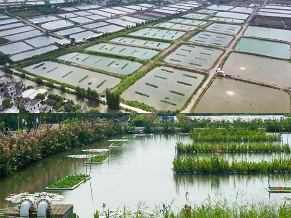 可再生滤坝，三池两坝，治理养殖尾水
