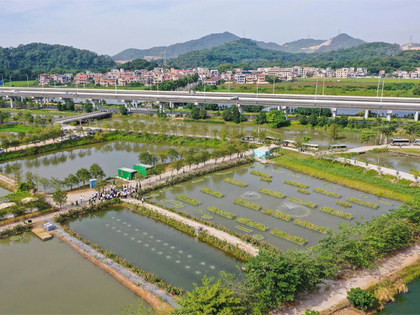 三池两坝，养殖尾水，可再生滤坝