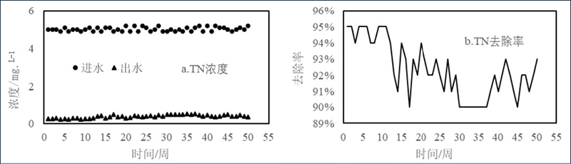 图3 加强型三池两坝技术对TN的去除效果 图3 加强型三池两坝技术对TN的去除效果