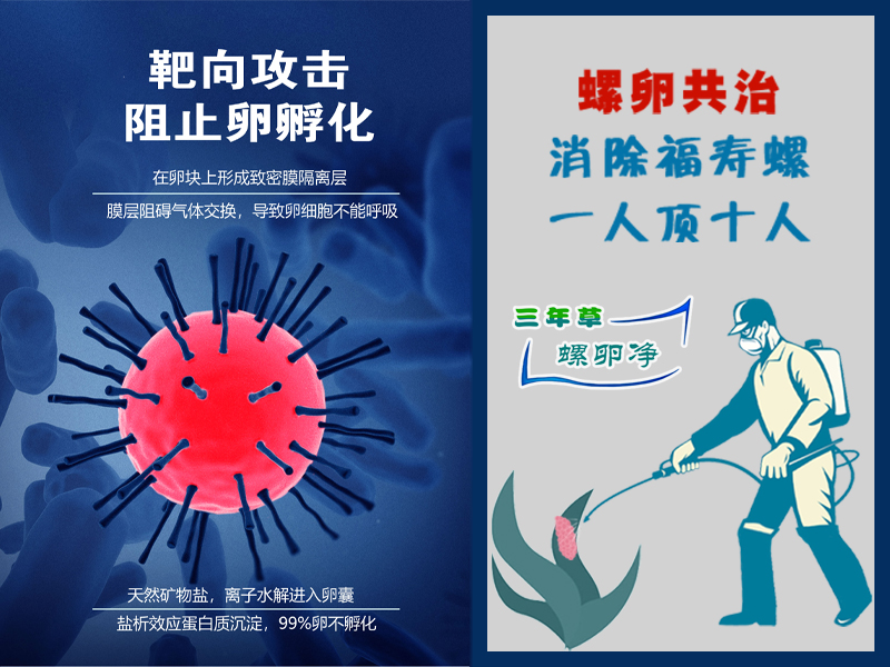 三年草螺卵净PCBC 三年草螺卵净PCBC