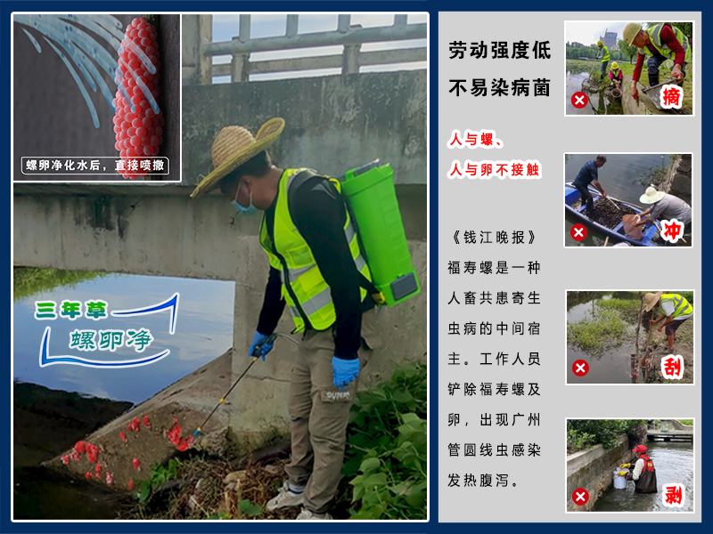 三年草螺卵净PCBC 三年草螺卵净PCBC