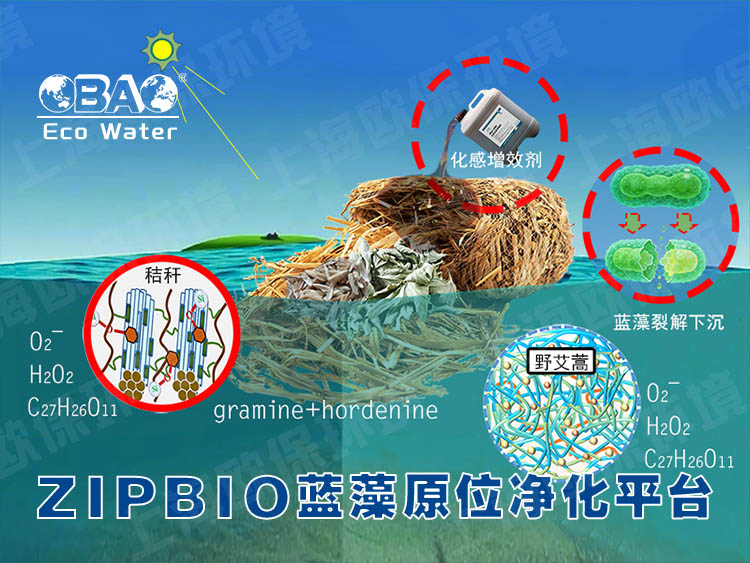 ZIPBIO欧保蓝藻应急治理平台