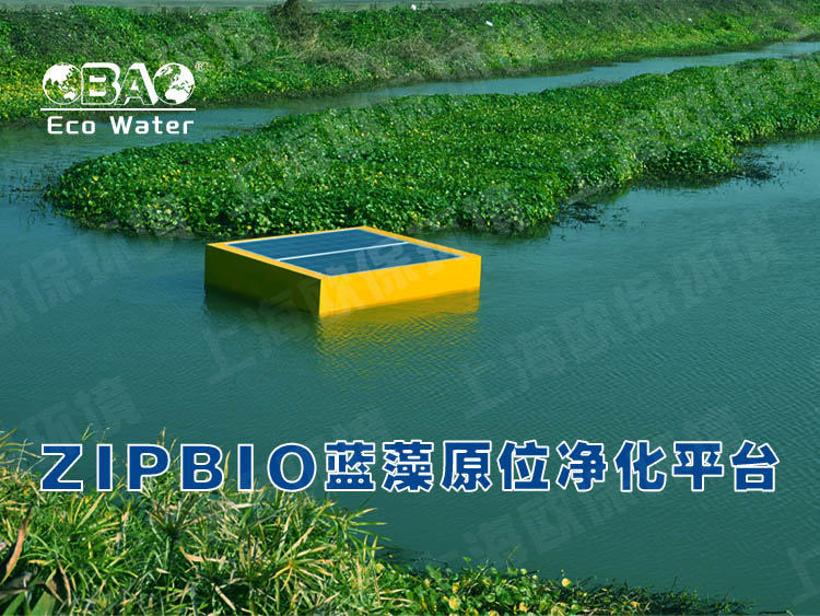 ZIPBIO欧保蓝藻应急治理平台
