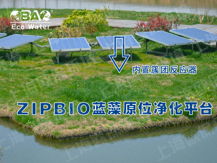 ZIPBIO欧保蓝藻应急治理平台
