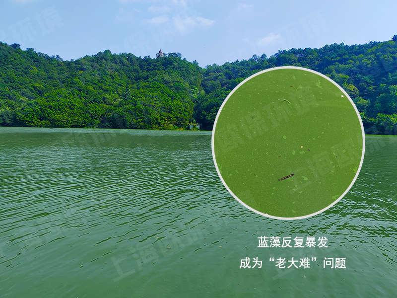 NOZZLE-E7500竖向紊流控藻装置