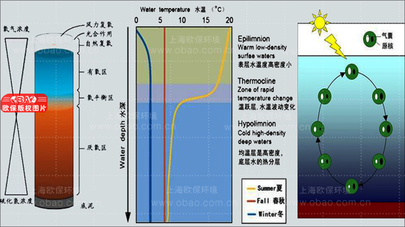 NOZZLE-E7500竖向紊流控藻装置
