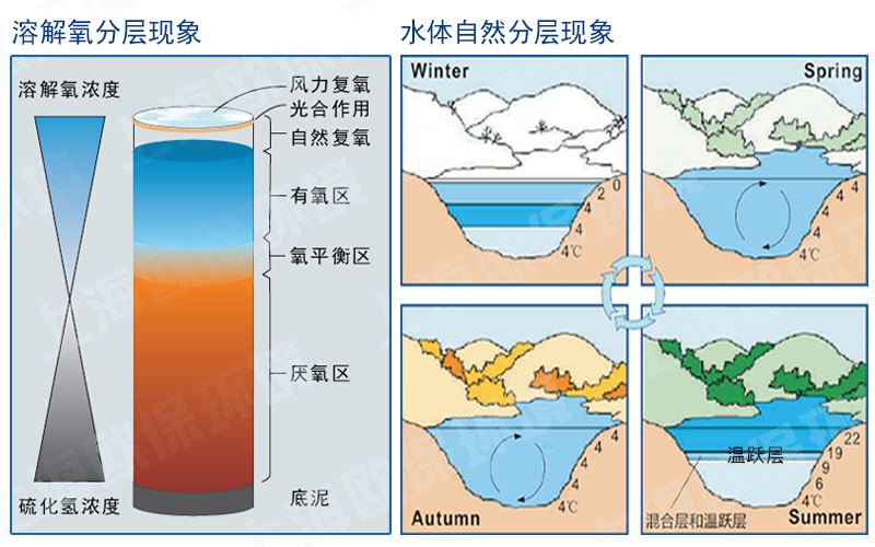 NOZZLE-E1500水库型羟基活化能控藻机