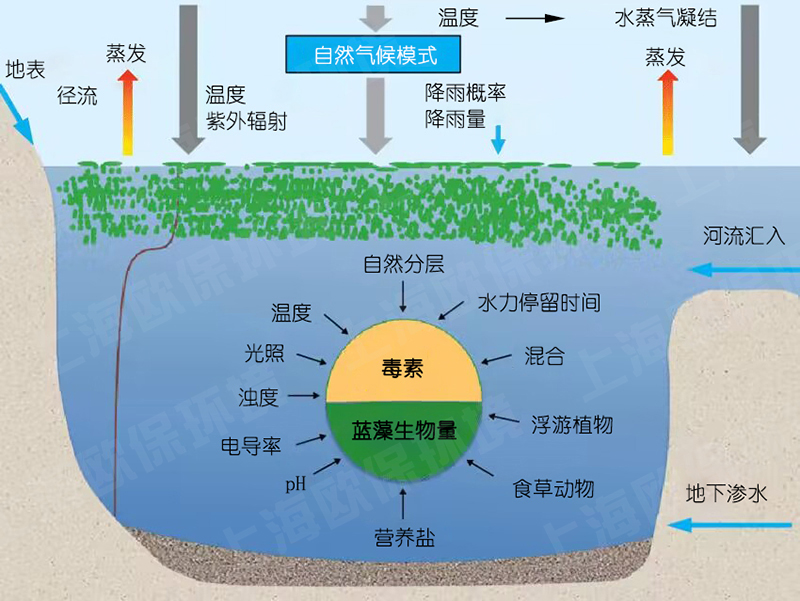 NOZZLE-E7500竖向紊流控藻装置