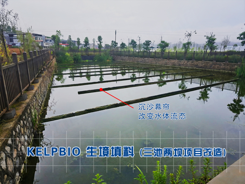 2025年三池两坝改造案例:广西防城港一水产养殖场使用生态沉沙幕帘改造沉淀池